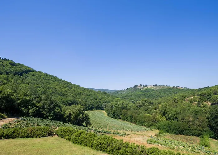 Foresteria Castello Di Verrazzano Greve in Chianti
